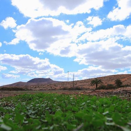 Montana Valles De Ortega - A Ngoại thất bức ảnh